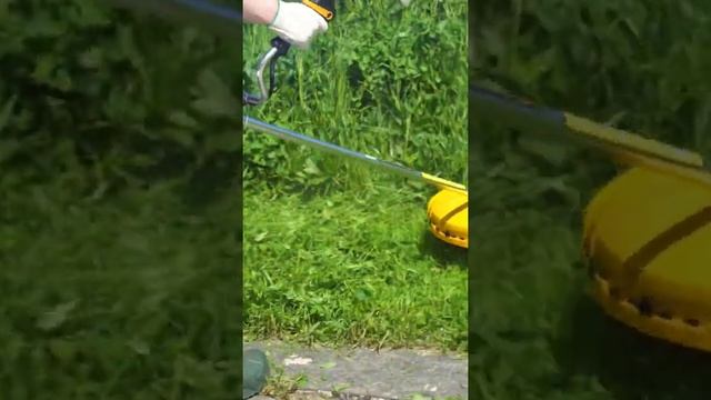 Тестирует бензотриммер Habert #habert #триммер #бензотриммер смотреть онлайн