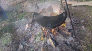 Шурпа из бобра