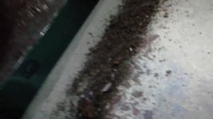 Toyota Sprinter Замена порогов