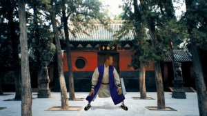 Шаолиньский цигун -  Ба Дуань Цзинь