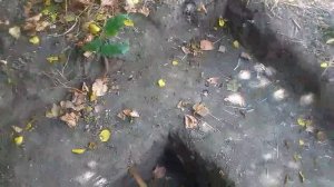 Металлоискатель Терминатор