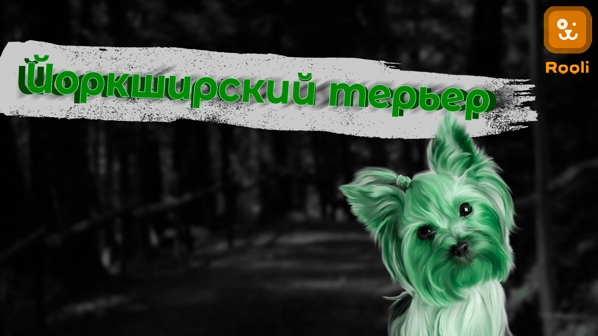 Йоркширский терьер: Невероятные факты о породе