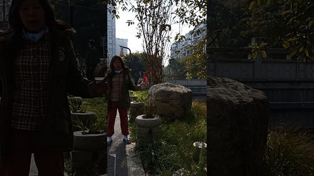 須彌金月【SONG 歌】134. Берёзы смотреть онлайн