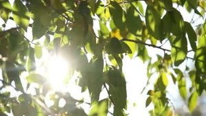 Мантра для привлечения денег из неожиданных источников. Мантра на быстрые деньги.