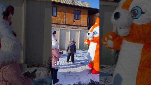 ? Рыжий Лисёнок в чекаго ??
