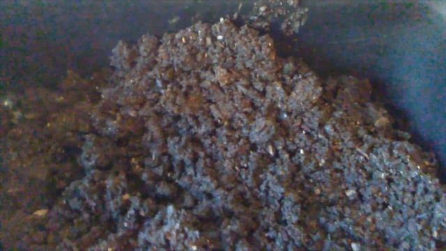Hungry Bin Vermicompost Harvest #4 - Red Wigglers - 13 Mar 2019 смотреть онлайн