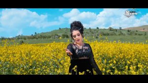 Сарвиноз Юсуфи - Шамолои Лолазор | Sarvinoz Yusufi - Shamoloi Lolazor 2019