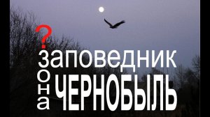 Чернобыль. Заповедник будущего?