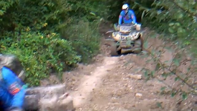 Донская Стая 3 смотреть онлайн