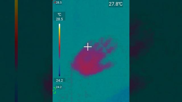 video_thermal_1669646798960.mp4