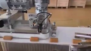 Горизонтально - упаковочная машина Нотис для упаковки штучный продуктов в упаковку Flow Pack