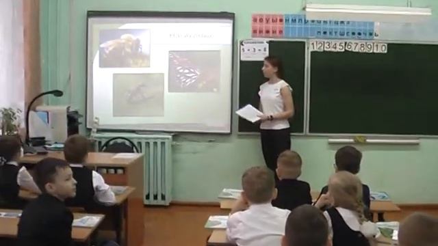 Окружающий мир, 2 класс