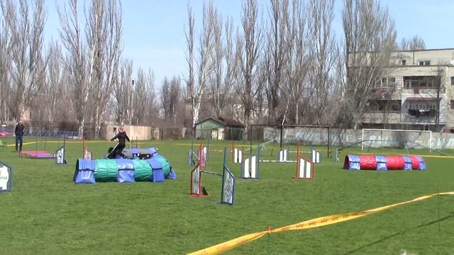 Скрипица Дарья и Чед Д3 смотреть онлайн