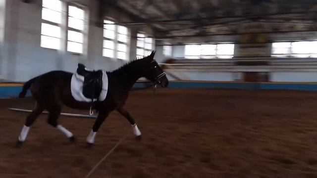 Океания смотреть онлайн