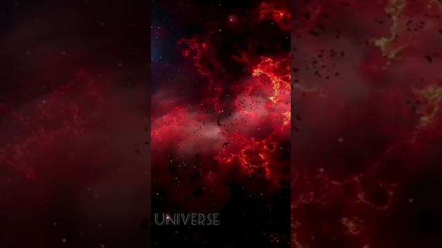 Анамалия.. https://t.me/universelifes смотреть онлайн