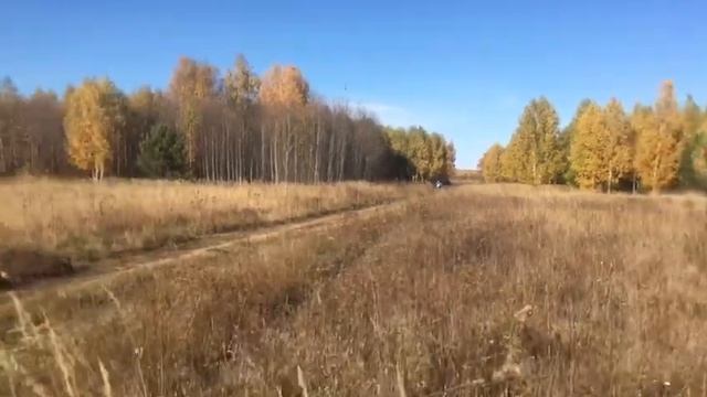 Cz 250 смотреть онлайн