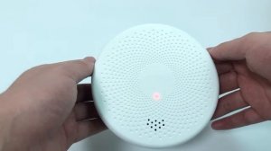 Tuya Smart Smoke and Carbon Monoxide Detector Alarm