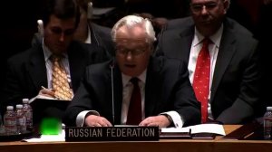 Чуркин в ООН отчитал американского полпреда