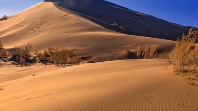 Димаш Кудайберген / Грешная страсть смотреть онлайн