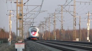 Скоростной электропоезд ЭВС1-14 ,,Сапсан" следует поездом №722 Москва- Санкт-Петербург.