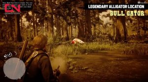 Red Dead Redemption 2 - Legendary Alligator Location - Bull Gator