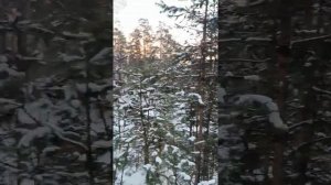 Алтайский край, Первомайский район, с, Первомайское