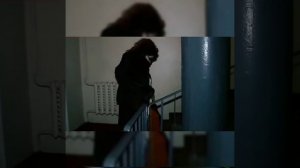 Цитаты Гогена Солнцева | Смешные моменты