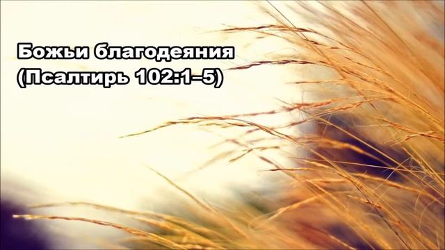 Тихое время с Живой Жизнью: Псалтирь 102:1-12 (16102018) смотреть онлайн