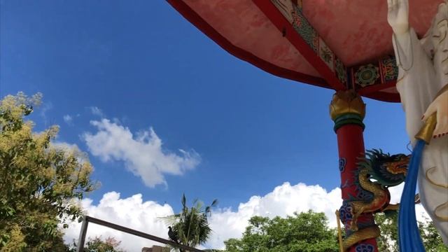 Проник в закрытый китайский парк c яйцами чужого в Паттайе! смотреть онлайн