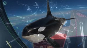 Club Music Collection