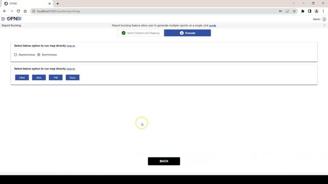 OpnBI Bulk Report Generation, BIRT Report смотреть онлайн
