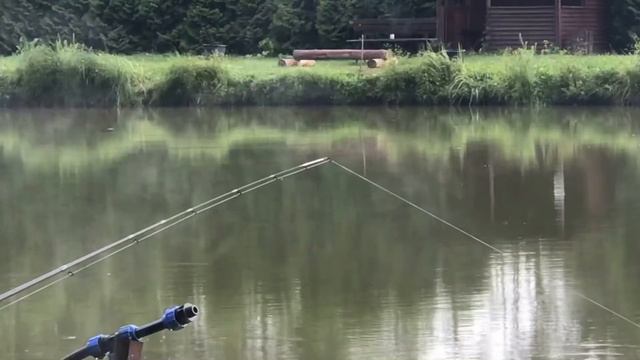 Рыбалка на карпа, карп на траппе, ловля карпа, карп на фидер, карп сломал подсак смотреть онлайн