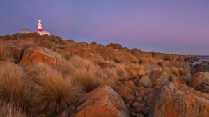 Mike Oldfield. The Top of the Morning