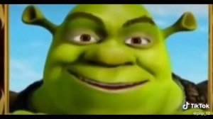 Дорогая Катюша, надеюсь ты узнала меня, доброго старину шрека?