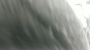 Хонда степ, как снять дросил заслонка