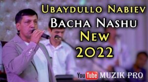 Убайдулло Набиев " Бача Нашу " Хамаш дарду, Хамаш ранчу, Хамаш гам. Бехтарин суруд
