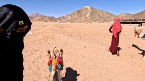 Отпуск в Египетe , Круто! Хургада , Hurghada Safari.Часть вторая.