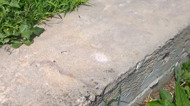 петарда напечатанная на 3д принтере смотреть онлайн