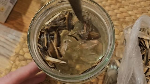 Бабушкин способ! За 2 дня стебель у рассады жирный и крепкий! Рассада коренастая! смотреть онлайн