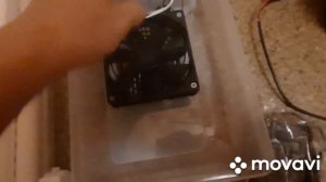 Инкубатор автоматический WQ-24 Распаковка и первый запуск.