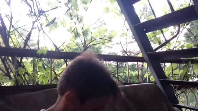 "Приручитель ежа" я приручил ежа на даче это аж 4 ёж смотреть онлайн