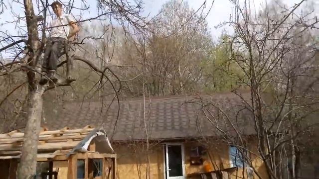 Ломаем старый сарай//Олег пилит ветки яблони