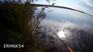 Ловля окуня на слаги. Отводной. Копия Javastic 50 мм.