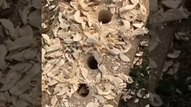 Сверло по дереву ГРАНИТ смотреть онлайн