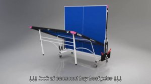 Butterfly Spirit 12mm Rollaway Outdoor Table Tennis Table