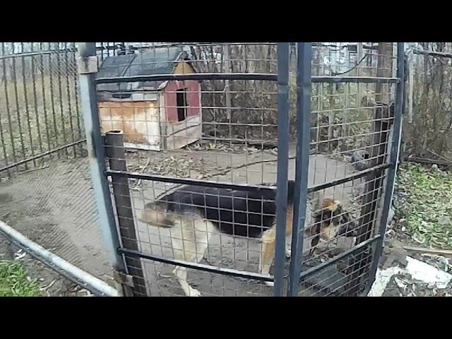 Тест камеры SJCAM HD 1080P  Где живет Боцман