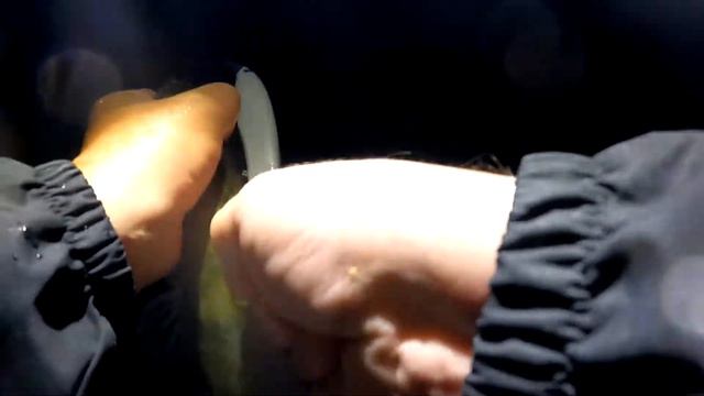Ночная ловля судака на мегабас канату