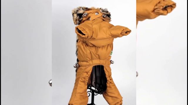 Лео комбинезон для собак мальчиков на силиконе смотреть онлайн