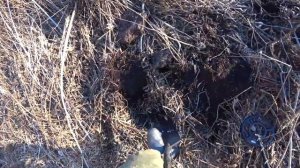 Капаем железо! Есть находки!