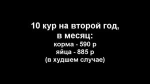Выгодно ли содержать кур-несушек? (часть 1)